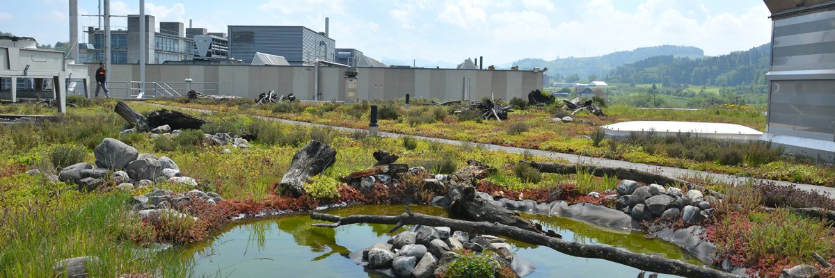 Die Anforderungen an Flachdächer werden immer komplexer. Das Institut für Flachdachbau und Bauwerksabdichtung (IFB) setzt sich seit 20 Jahren für Qualitätssicherung ein. © Bauder